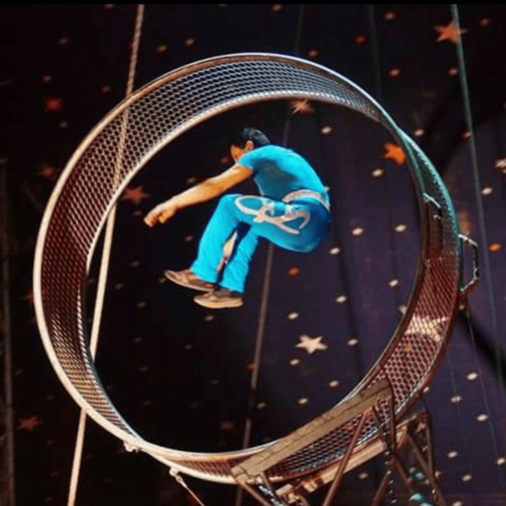 Wheel of Death at Mead Open Farm