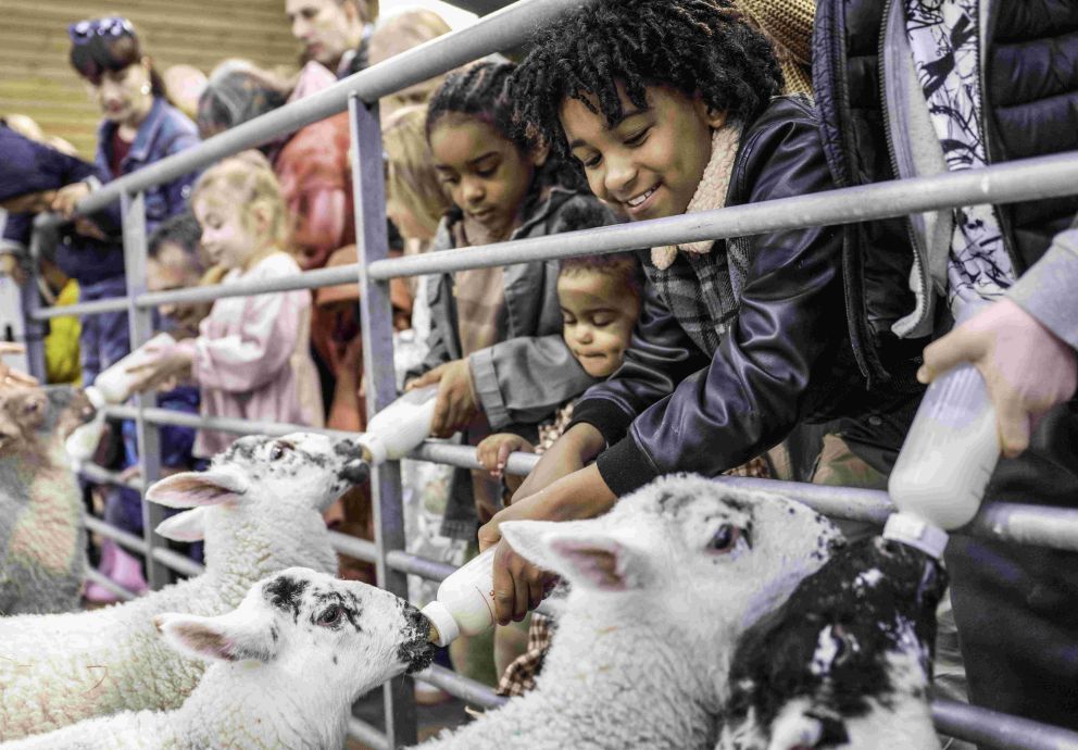 Bottle Feeding Lambs at Mead Open Farm