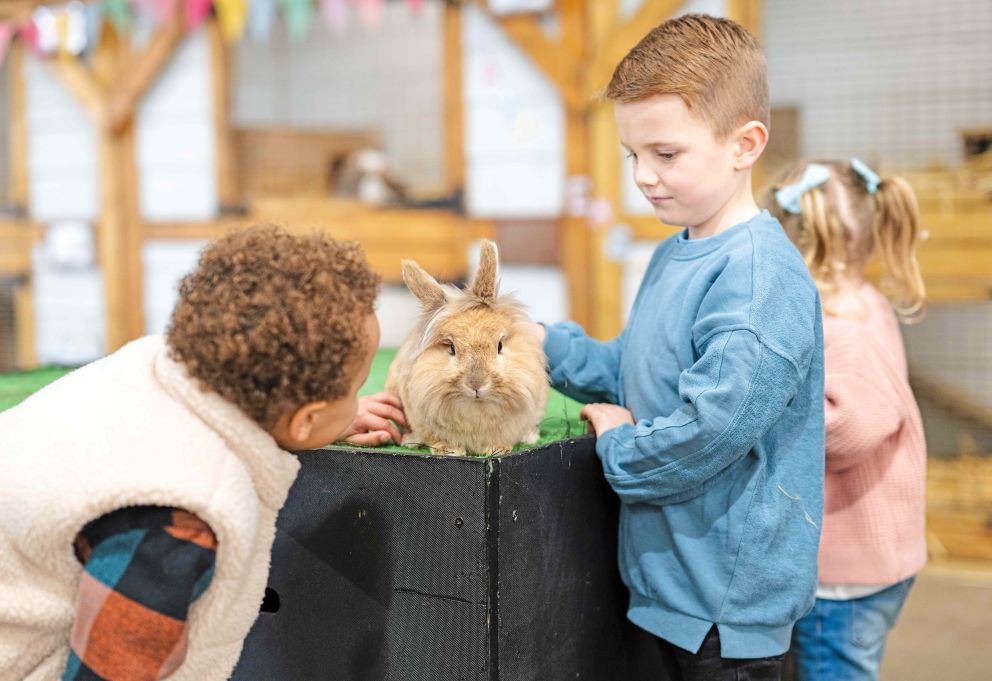 Bunny Hop at Mead Open Farm