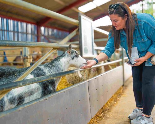 Adult Farm Nights at Mead Open Farm