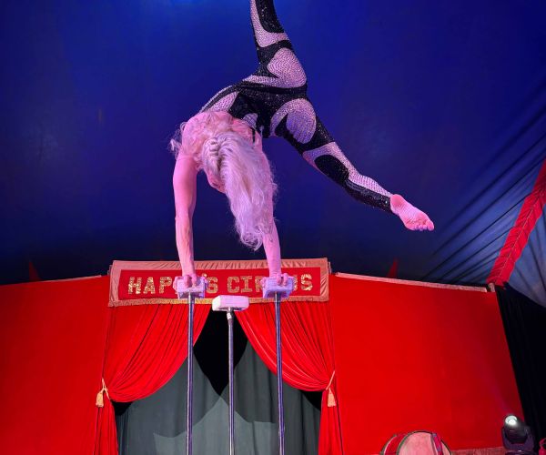 Happy Circus at Mead Open Farm