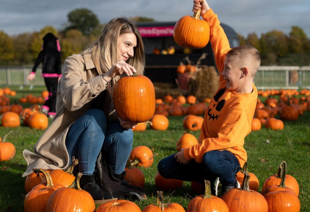 Pumpkin Patch at Mead Open Farm