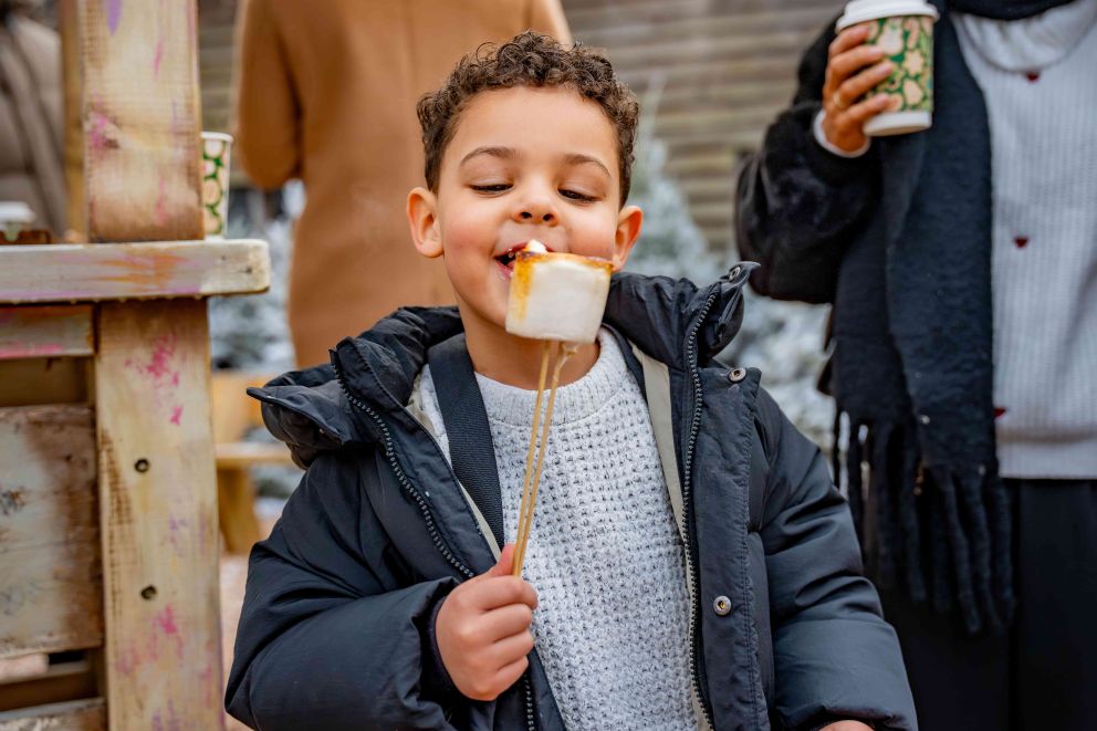 Visit the Alpine Village at Christmas at Mead Open Farm