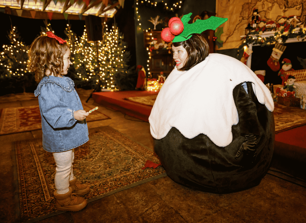 The Pudding Club Show at Christmas at Mead Open Farm