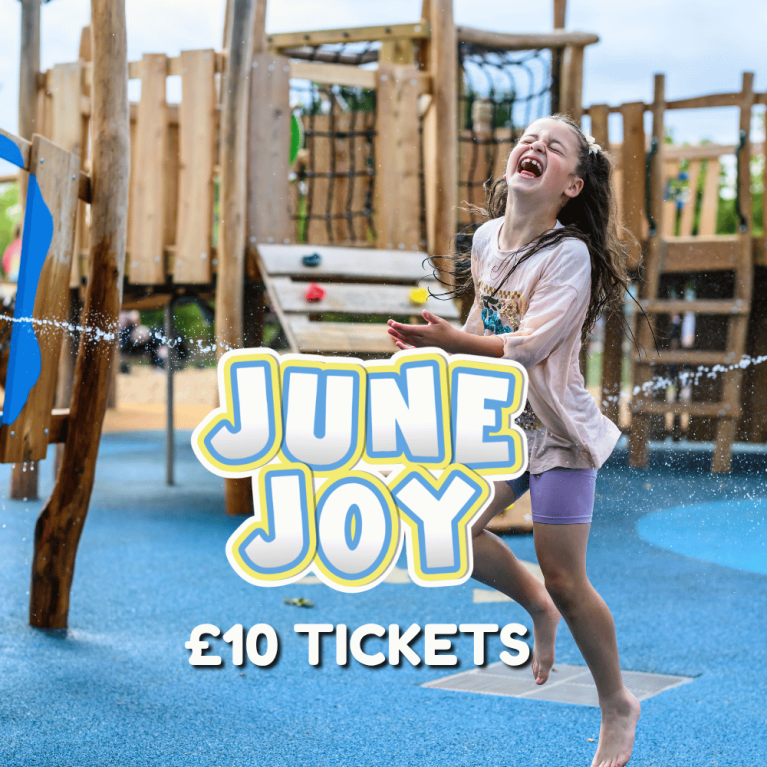 June Joy £12 Tickets at Mead Open Farm this June
