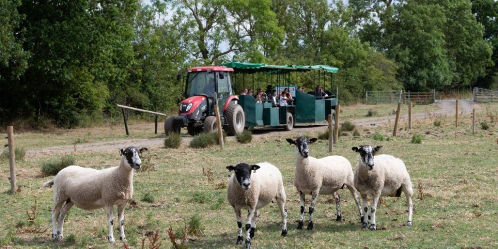 Tractor and Trailer Rides at Mead Open Farm